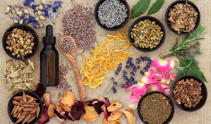 Cúrcuma: Potencial Redução da Inflamação - inspiração 1