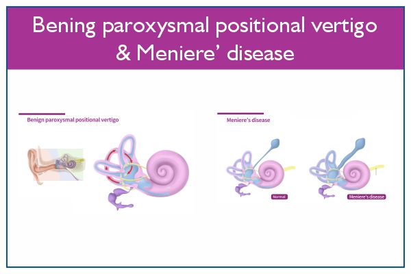 Erva-cidreira: Combate à Ansiedade e ao Estresse - inspiração 1