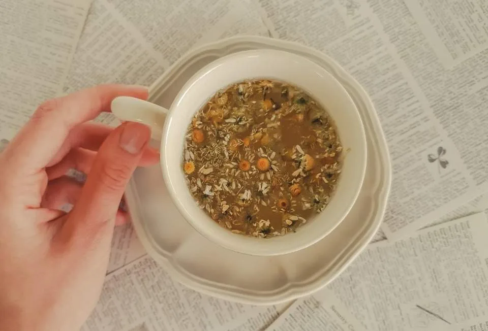 Chá de Gymnema Silvestre: O 