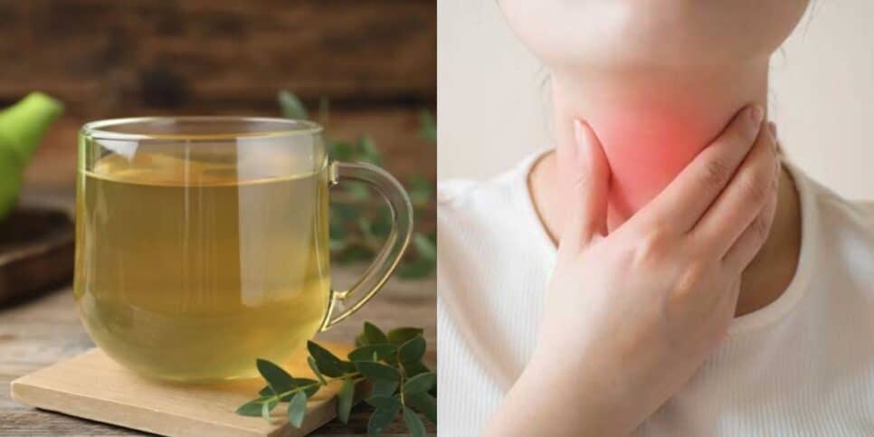 Chá de Equinácea: Reforço para o Sistema Imunológico - inspiração 1