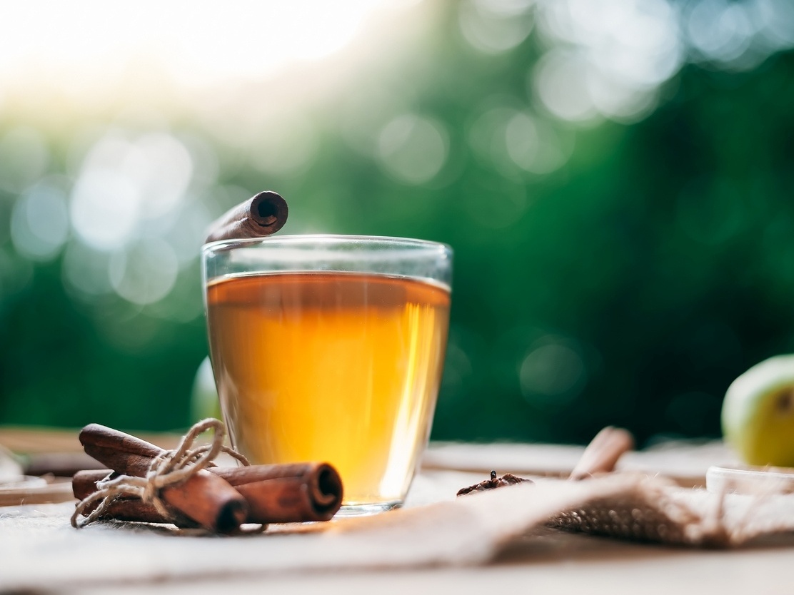 Infusão de Equinácea: Fortalecendo suas Defesas Naturais - inspiração 2