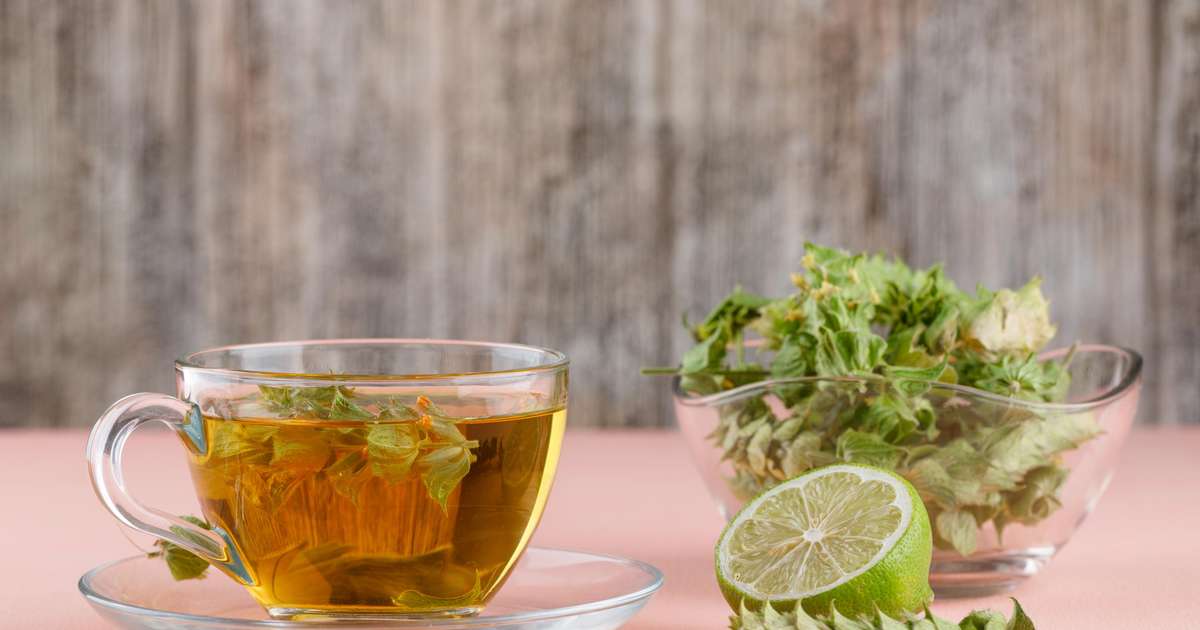 Chá de Sabugueiro: Combate às Inflamações - inspiração 2