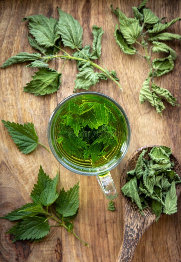 Gengibre: Ação Anti-inflamatória Que Combate a Coceira - inspiração 1