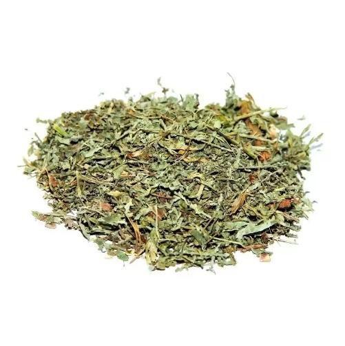 Guava (Folhas): Uma Solução Acessível e Poderosa - inspiração 2