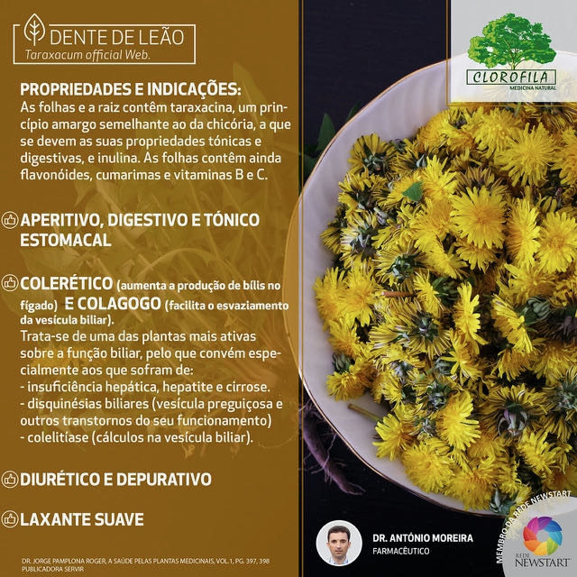 Chá de Boldo: Um Clássico para Digestão - inspiração 2