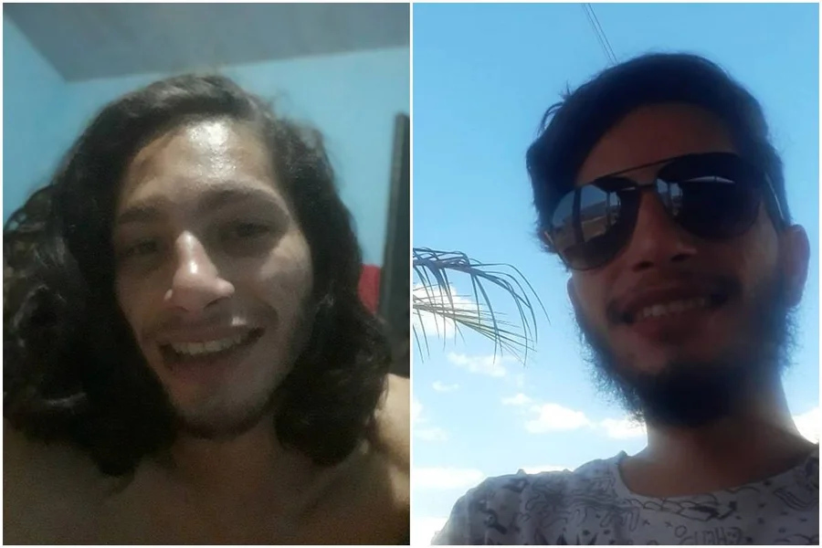 Erva-cidreira: Suavidade Para Acalentar a Voz - inspiração 2