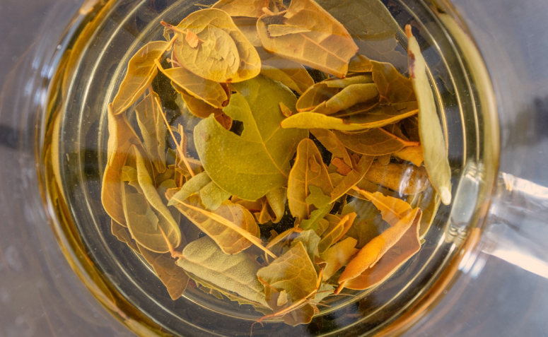 Chá de Goiaba (Folhas): Adstringente Natural para Diarreia - inspiração 1