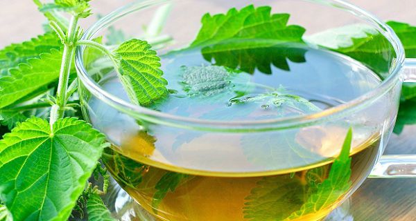 Segredos da Conservação para Manter o Frescor - inspiração 2