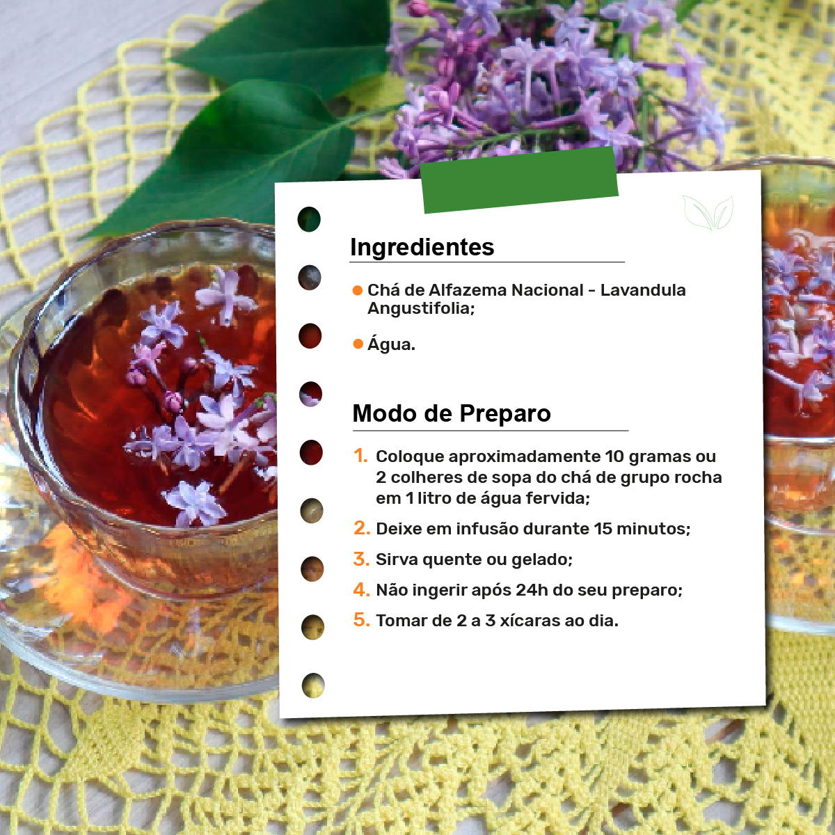A Escolha Ideal: Flores de Alfazema Frescas ou Secas? - inspiração 1