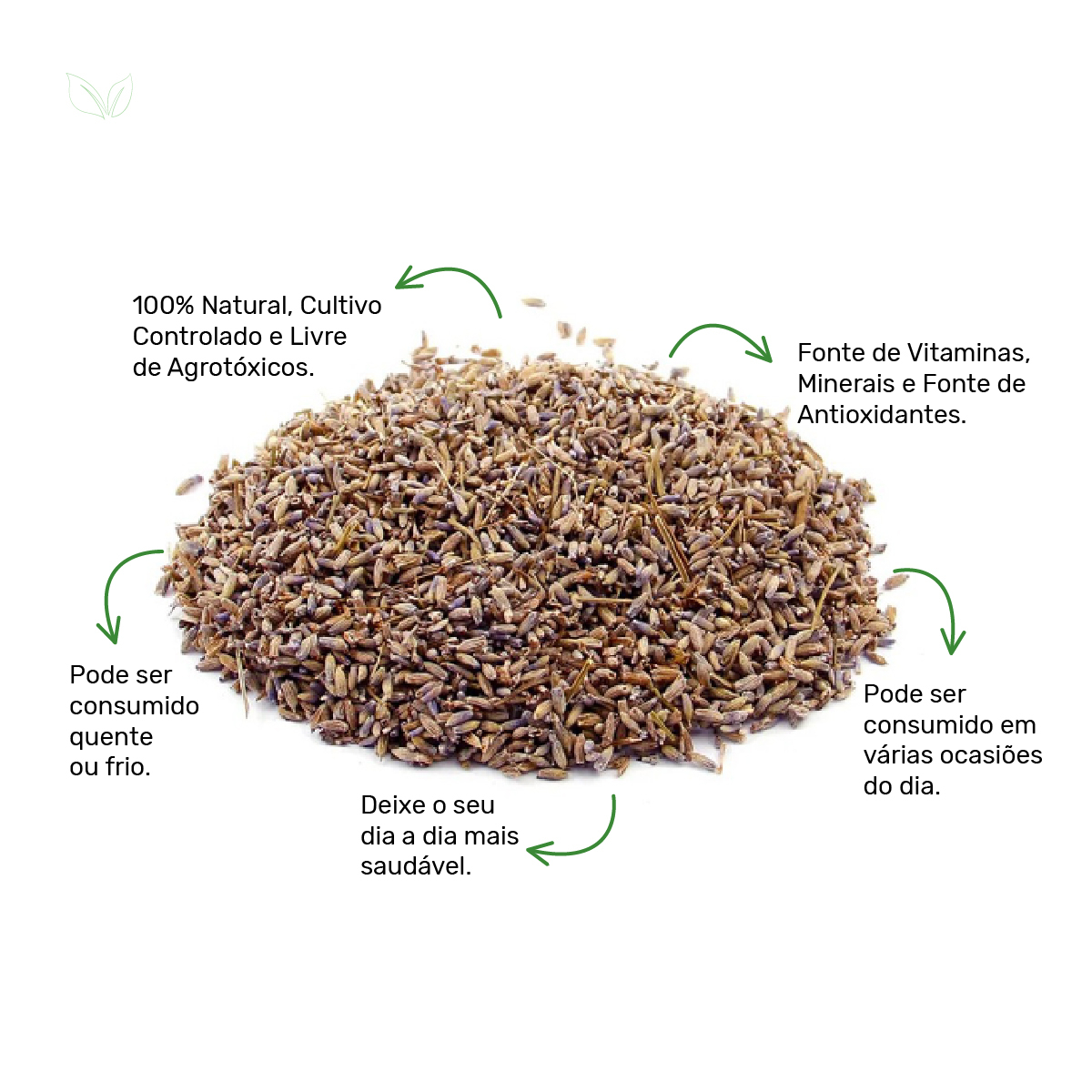 A Água Perfeita: Temperatura que Libera os Aromas - inspiração 1