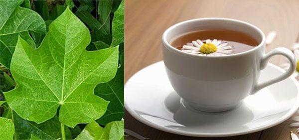 O Momento da Infusão: Temperatura da Água que Traz o Melhor Sabor - inspiração 2