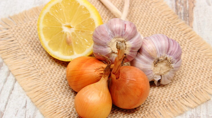 Quando Beber: Melhores momentos para potencializar os efeitos - inspiração 1