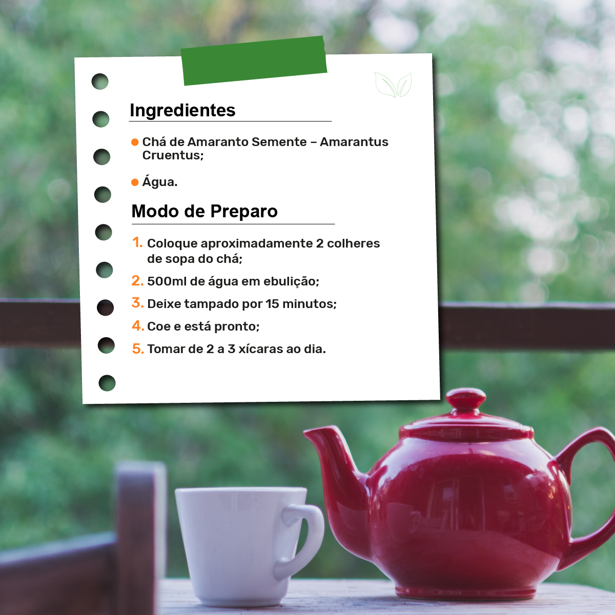 Por que o amaranto é tão especial? - inspiração 1