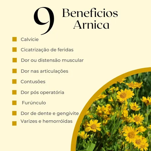Quando Evitar o Chá de Arnica: Contraindicações Importantes - inspiração 1