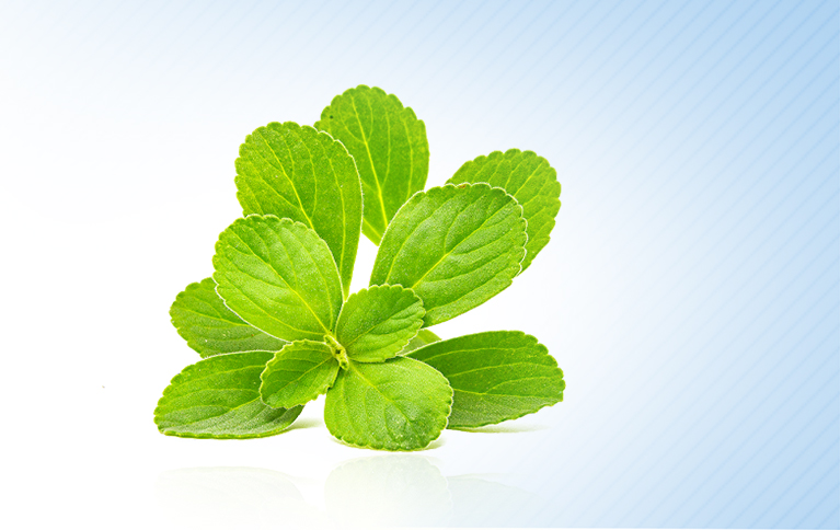 A Importância de Consumir o Chá Fresco - inspiração 2