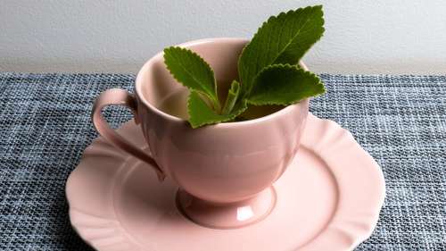 Armazenamento Correto: Mantenha a Potência do Seu Chá - inspiração 1