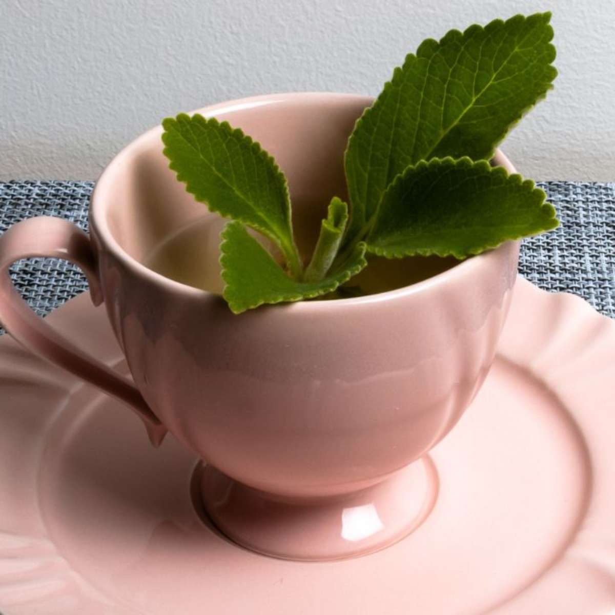 O Tempo de Infusão: Não Deixe Ferver, Apenas Infunda - inspiração 2