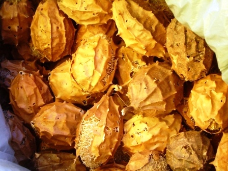 Tempo de Infusão: O Segredo para um Chá Eficaz - inspiração 1