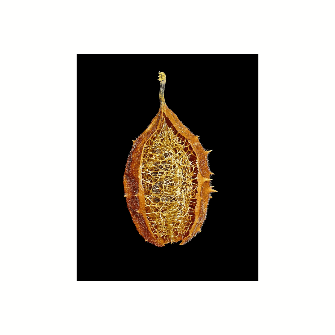 Frequência de Uso: Encontrando o Equilíbrio - inspiração 1