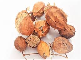 Sinais de Alerta: Quando Interromper o Uso Imediatamente - inspiração 1