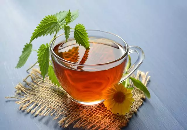 Preparo Perfeito: Infusão Ideal para Máximos Benefícios - inspiração 2