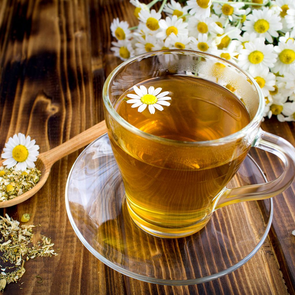 Dicas de ouro para um gato mais tranquilo e feliz - inspiração 2