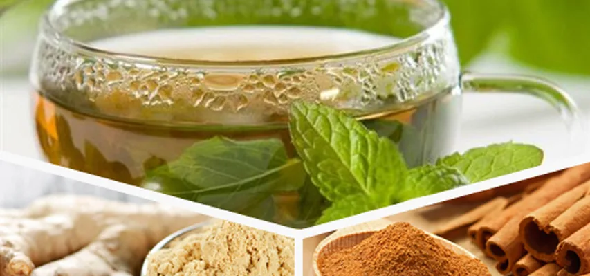 Cuidados na Conservação da Casca de Canela: Mantenha o Frescor - inspiração 1