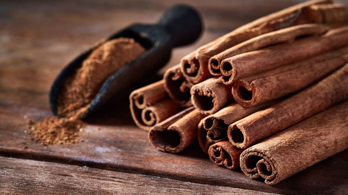 Seleção da Canela Ideal: Qualidade Faz a Diferença - inspiração 1