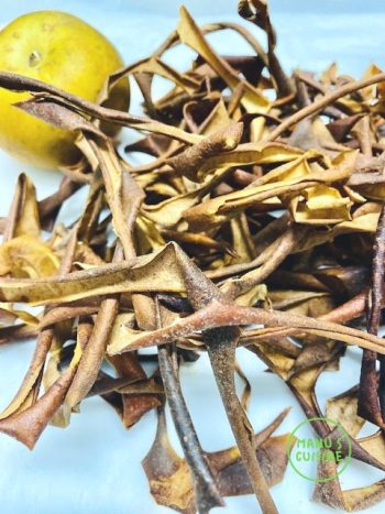 Variações Criativas: Explore Novos Sabores com a Casca da Maçã - inspiração 2