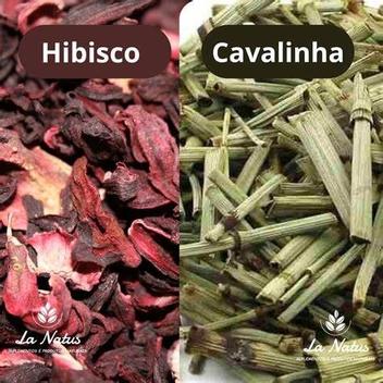 A Temperatura Ideal: O Ponto Crucial Para Extrair o Máximo de Benefícios - inspiração 1