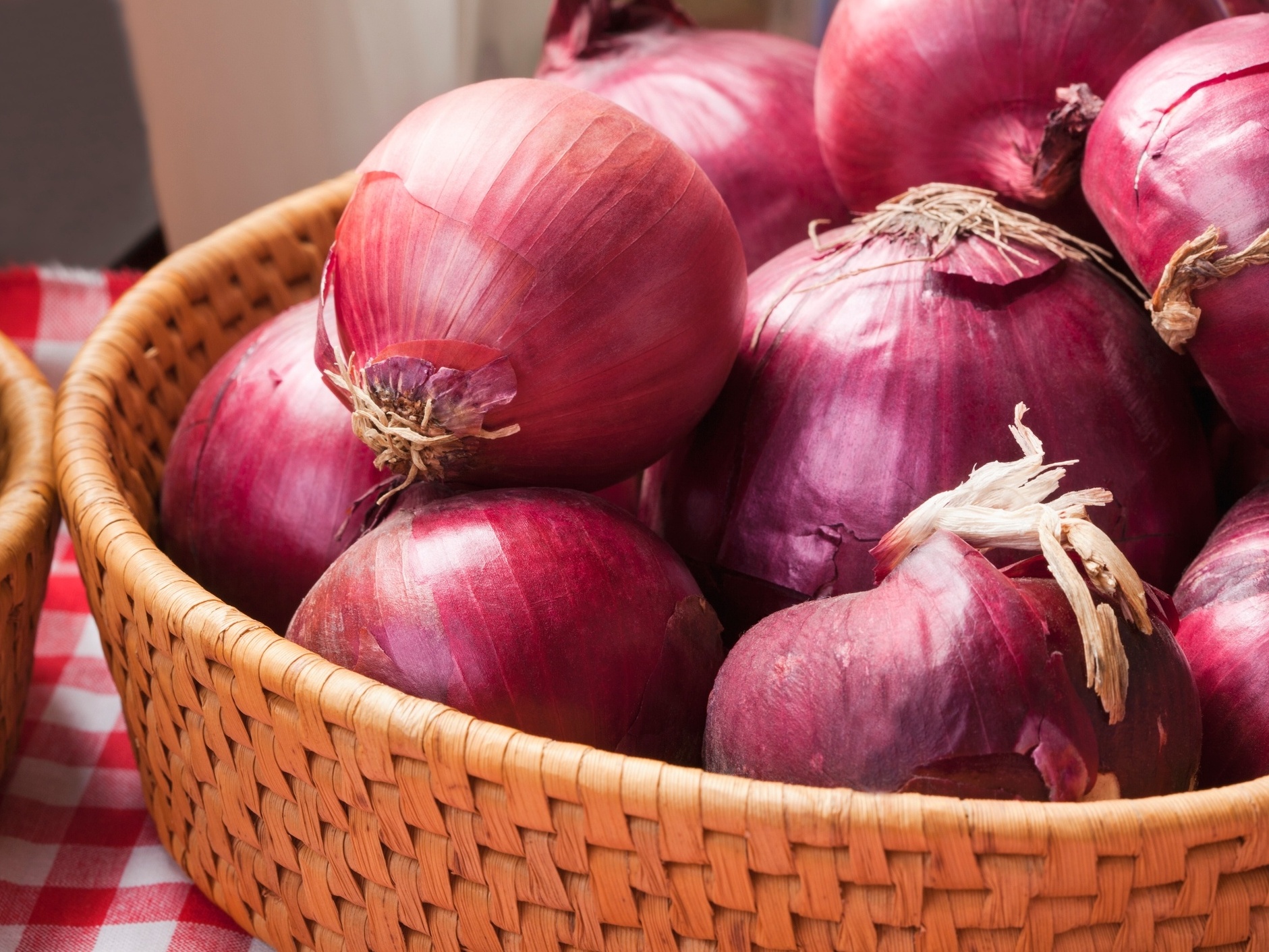 A importância de escolher cebolas de qualidade - inspiração 2