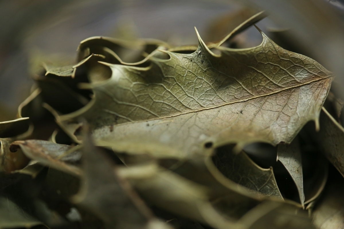Tempo de Infusão: Nem Pouco, Nem Demais - inspiração 1