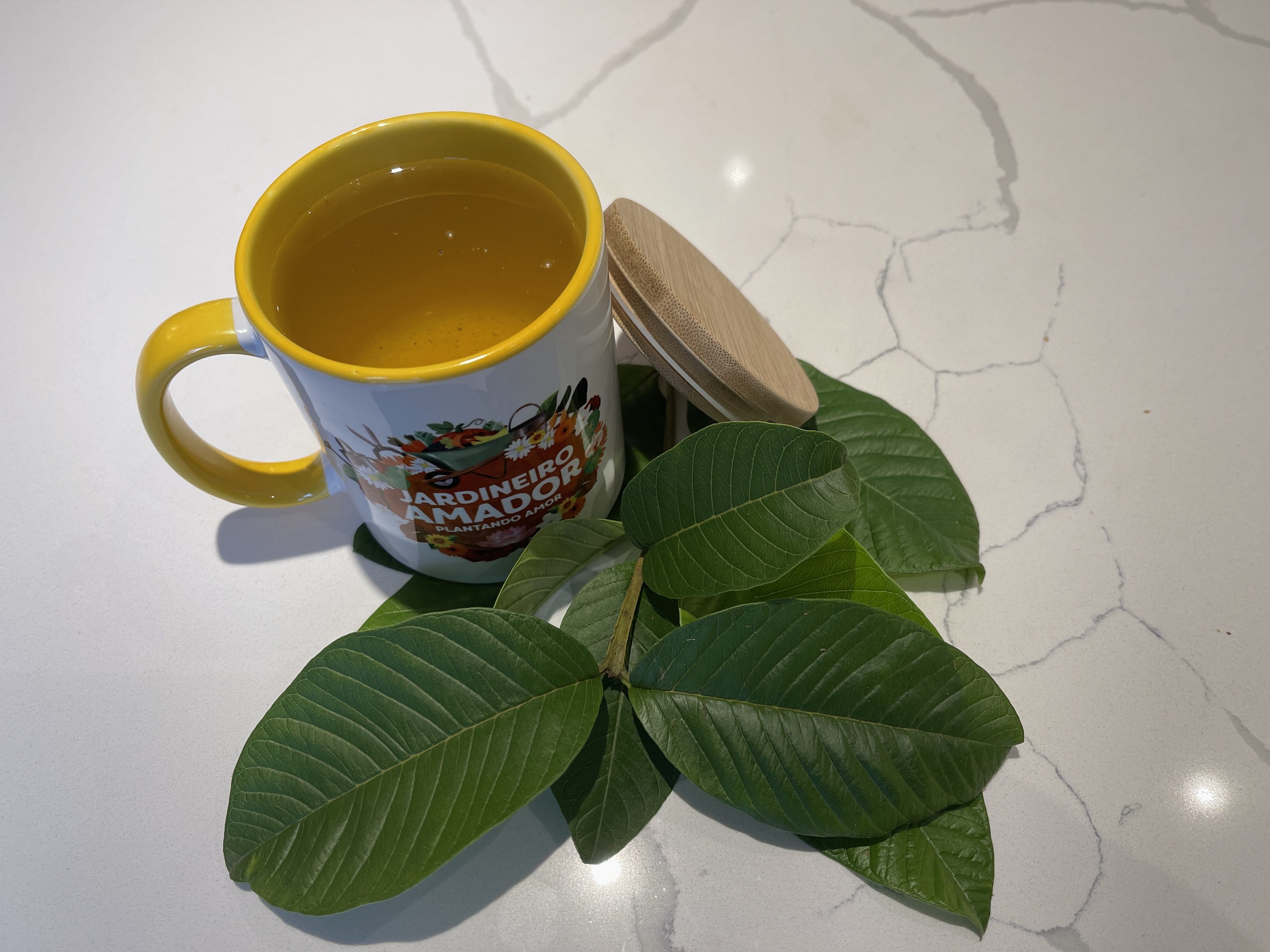 A Água Perfeita: Temperatura Certa para Extrair o Melhor - inspiração 2