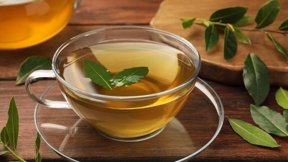 O Ponto Certo da Água: Essencial para Extrair os Benefícios - inspiração 2