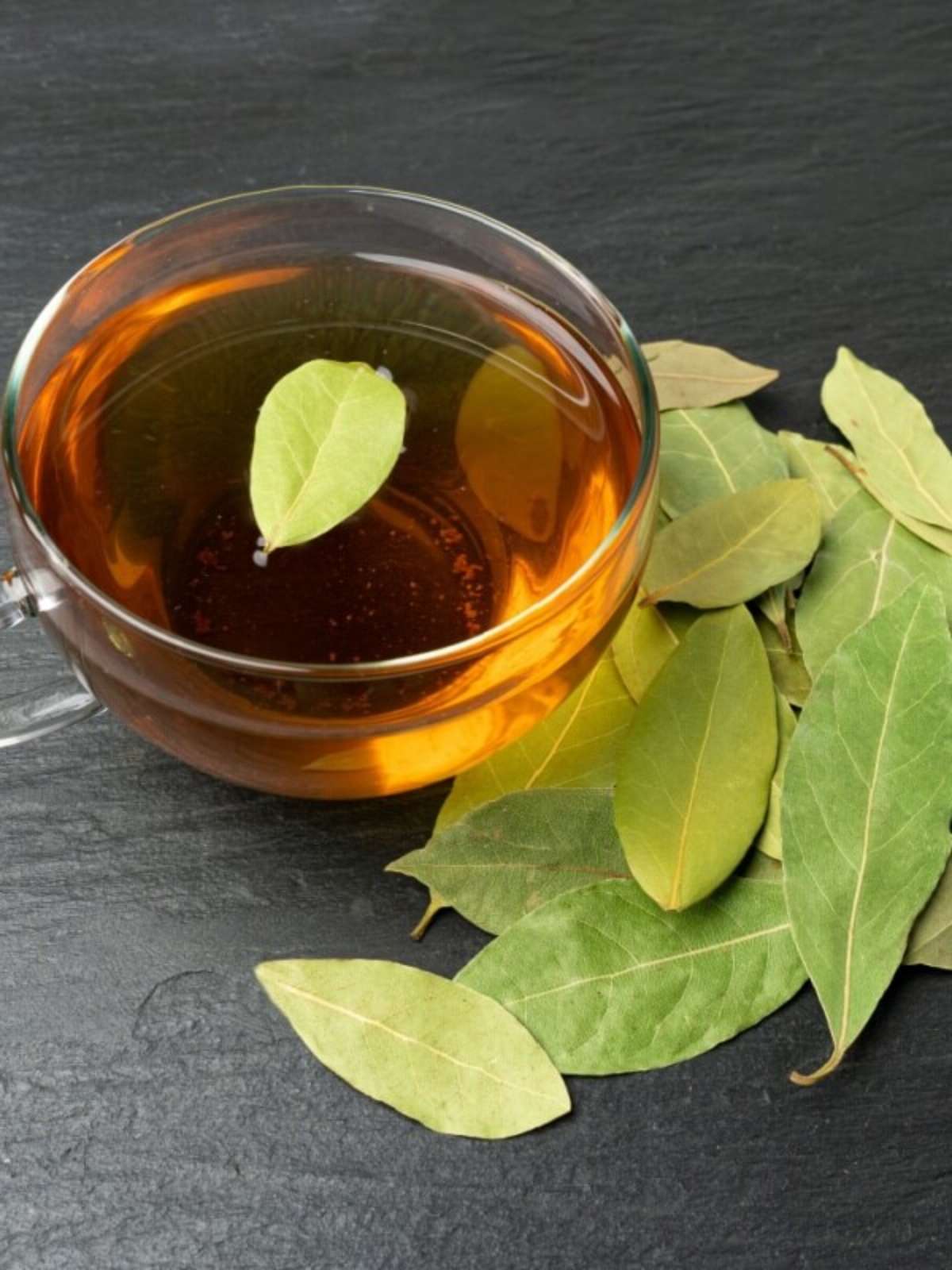 Como Conservar Suas Folhas de Louro Frescas e Eficazes - inspiração 2