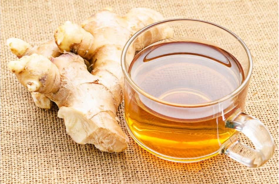 A Proporção de Água: Base Para a Infusão Perfeita - inspiração 1