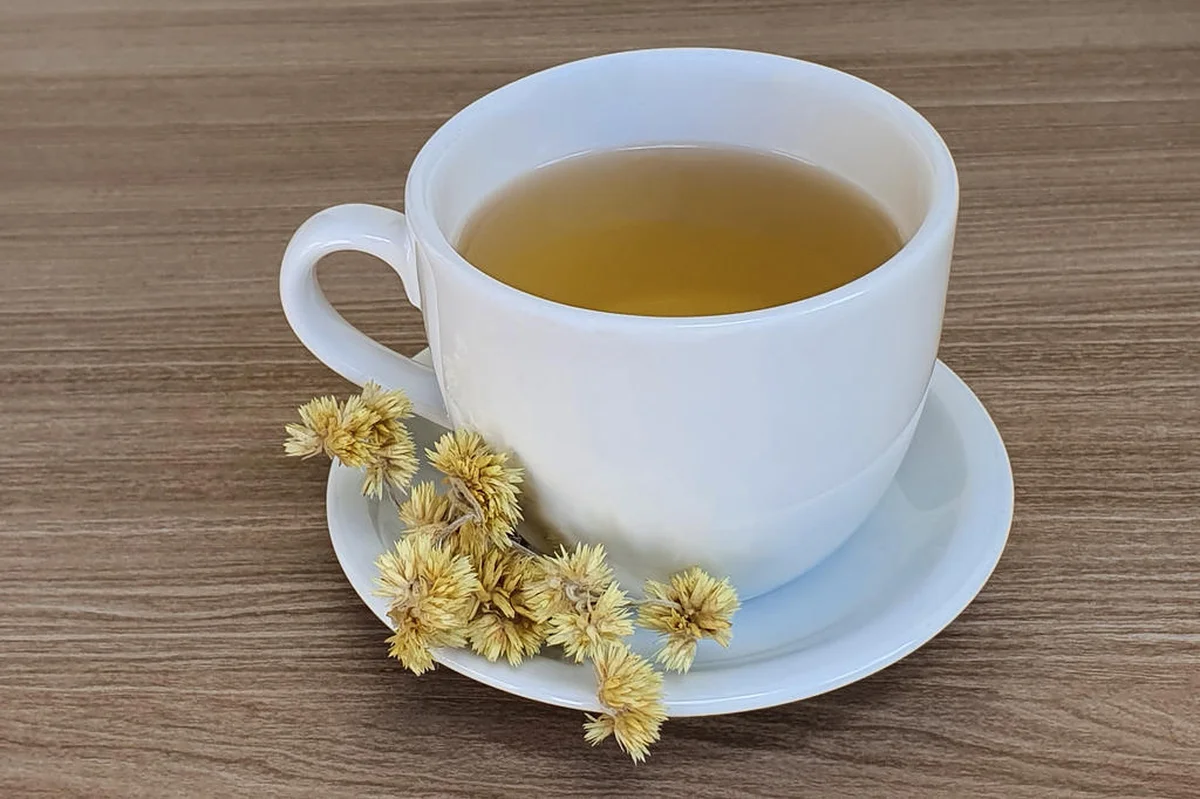 Por que a Marcela é Tão Especial? - inspiração 1