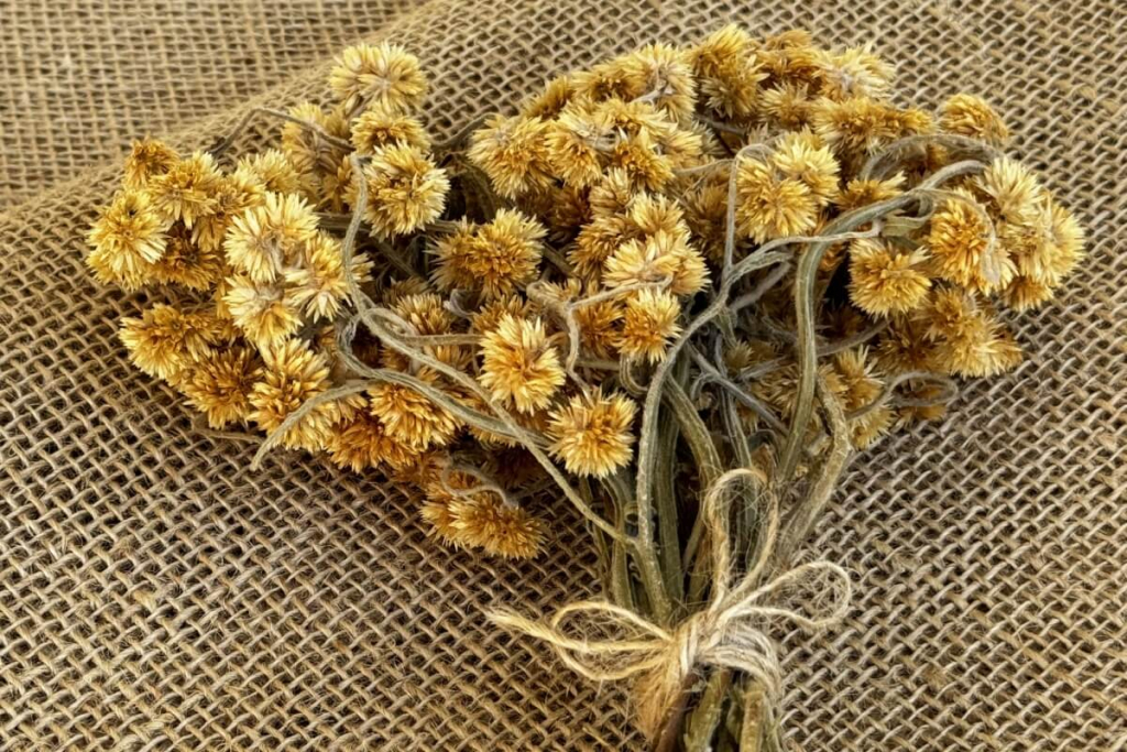 A Escolha Certa: Onde Encontrar e Como Selecionar a Marcela - inspiração 2