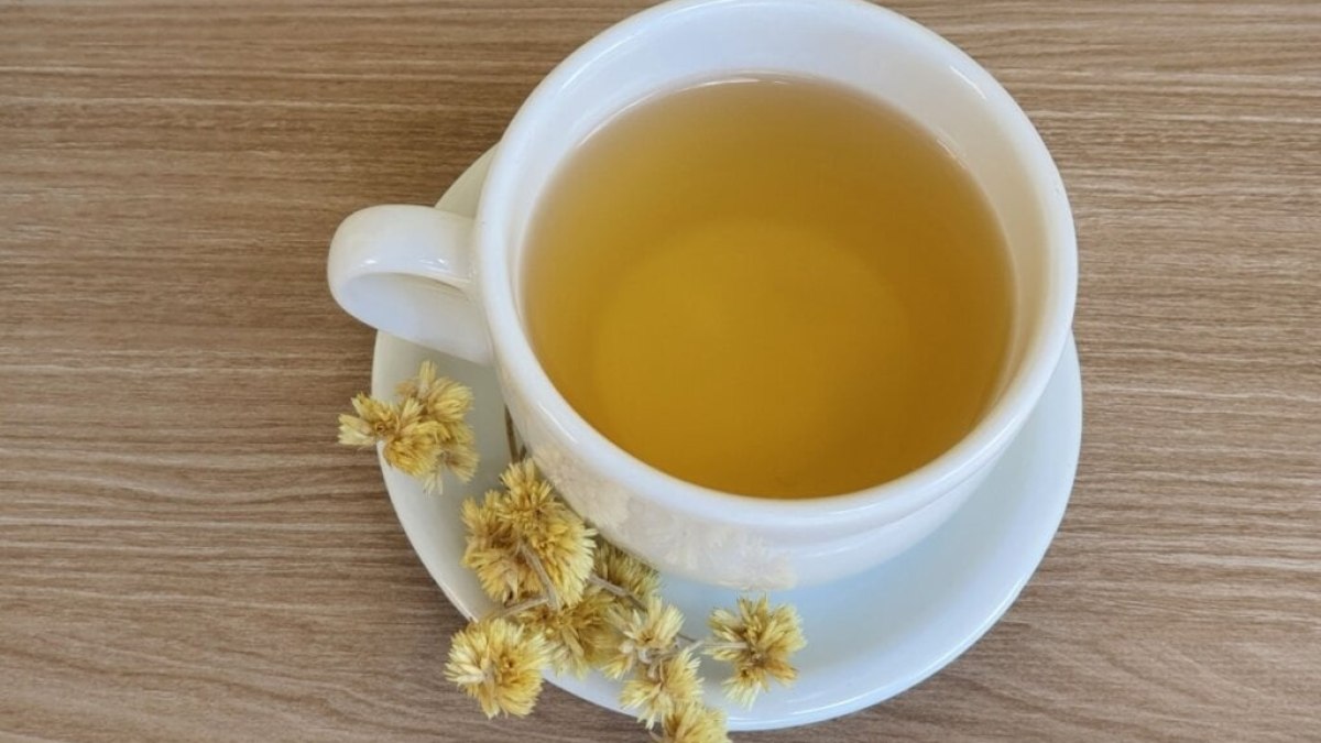 O Tempo de Infusão: O Segredo para Extrair o Máximo de Benefícios - inspiração 2