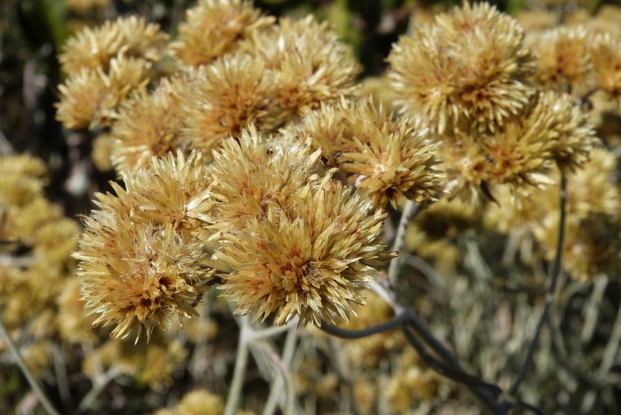 Diferentes Formas de Consumo: Quente ou Frio? - inspiração 1