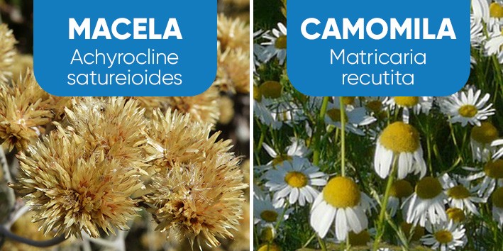 Dicas de Preparo para Iniciantes: Evite Erros Comuns - inspiração 1