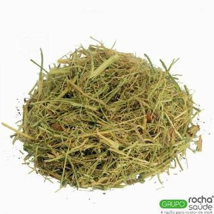 A Proporção Certa: Fruta Fresca vs. Fruta Seca - inspiração 2