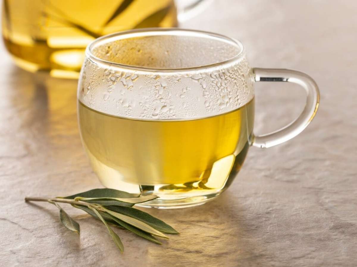 Benefícios Incríveis do Chá de Oliveira Para o Seu Bem-Estar - inspiração 1