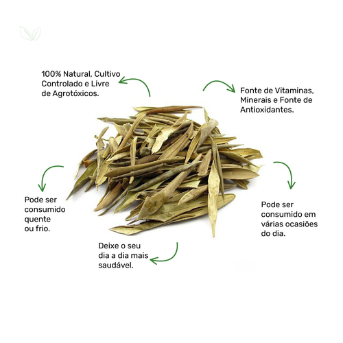 Tempo de Infusão: A Chave Para Extrair o Máximo de Nutrientes - inspiração 2