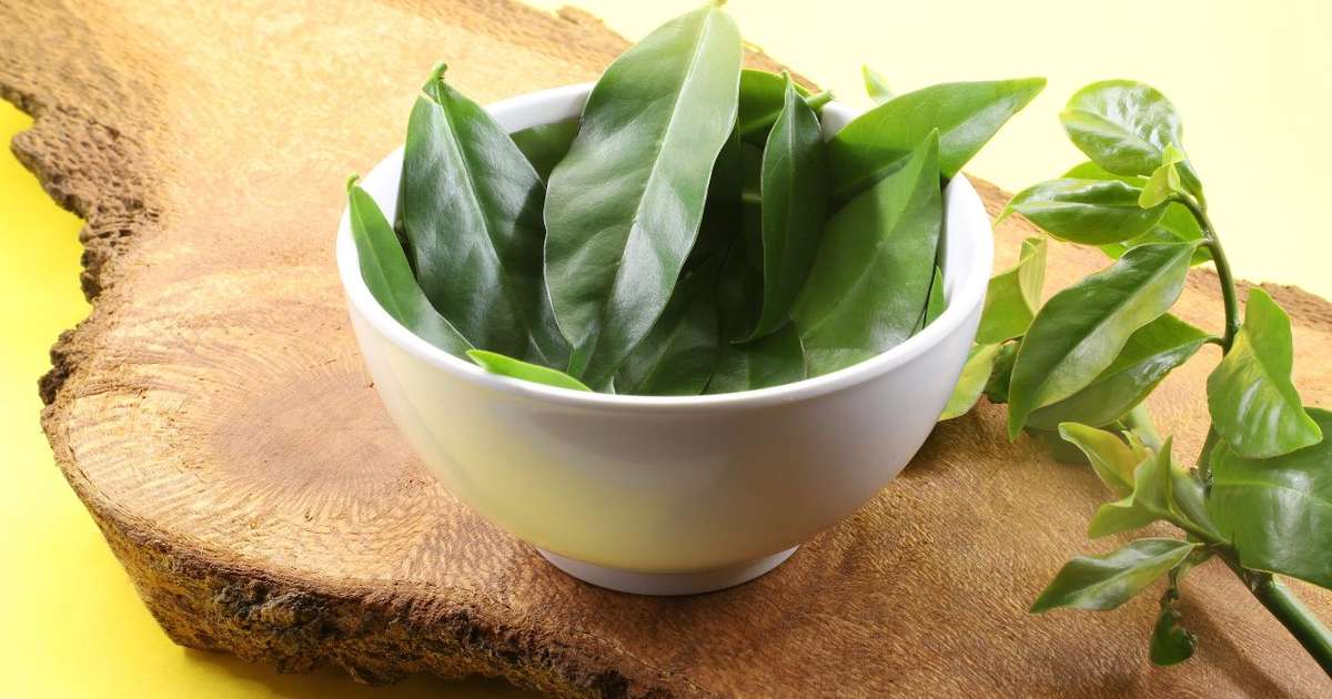 A Quantidade Certa de Folhas para um Chá Perfeito - inspiração 1