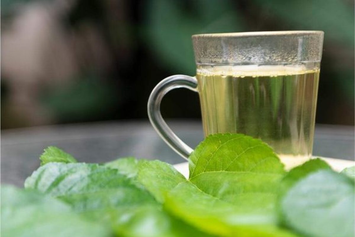 Variando o Sabor: Toques Especiais para o Seu Chá - inspiração 1