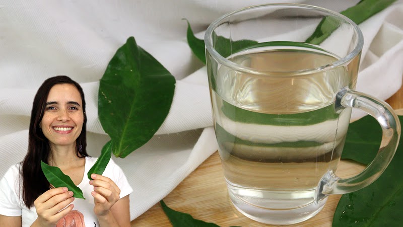 Variando o Sabor: Toques Especiais para o Seu Chá - inspiração 2