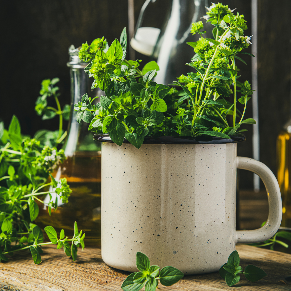 Passo a Passo: A Arte de Preparar o Chá de Orégano Perfeito - inspiração 1