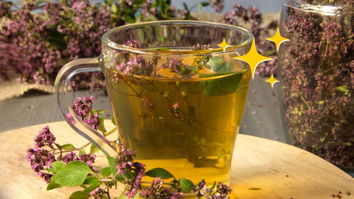 Dicas de Armazenamento: Preserve o Frescor do Seu Orégano - inspiração 2