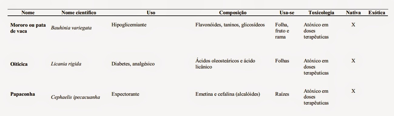 Perguntas Frequentes sobre o Chá de Papaconha - inspiração 1